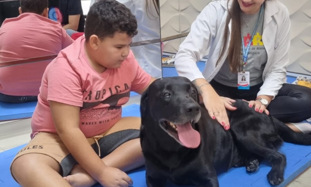 Porto Belo utiliza cães para aprimorar processo terapêutico em pacientes autistas