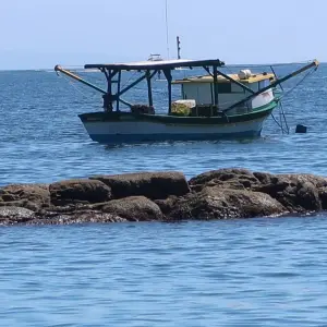 Campeonato de Pesca em Porto Belo terá 170 atletas e doação de pescados