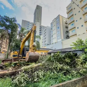 Covil do crime: Casa abandonada em meia praia vem abaixo após aterrorizar moradores